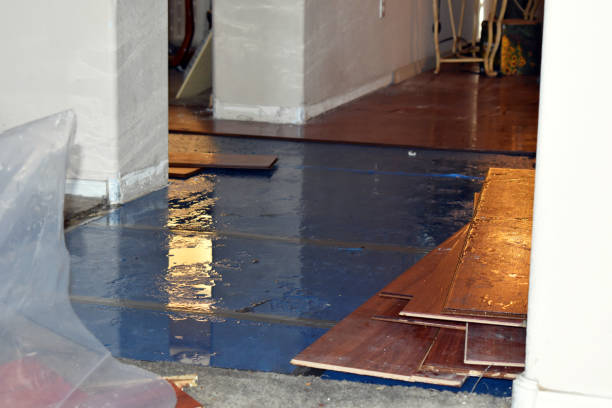 Professional Water Damage Restoration technician working in Whiteside, MO